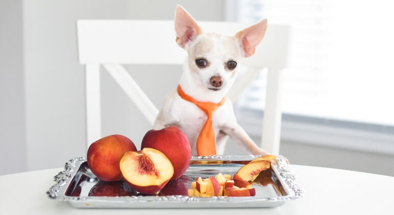 Peaches For Dogs