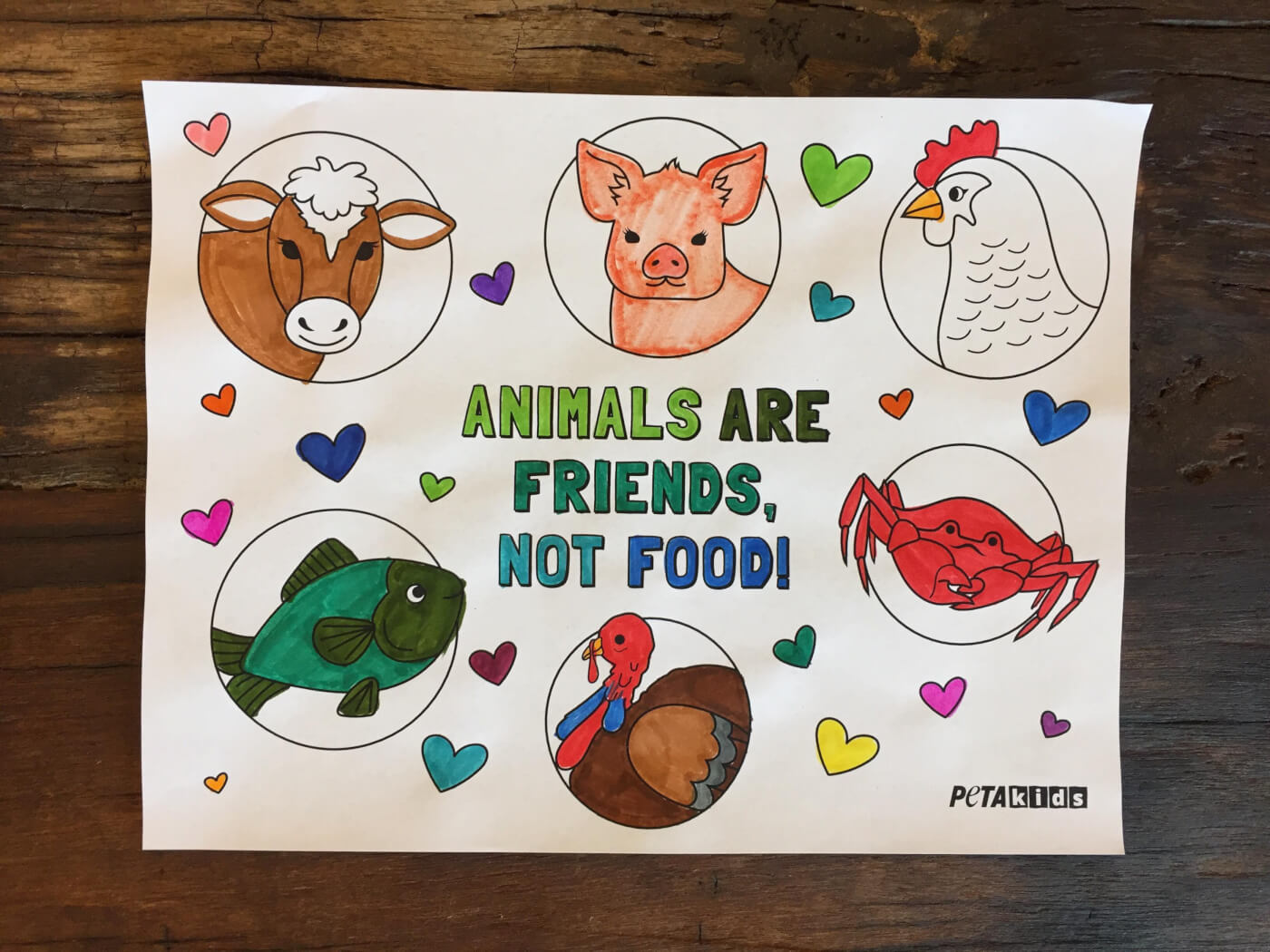 Animals are Friends Not Food