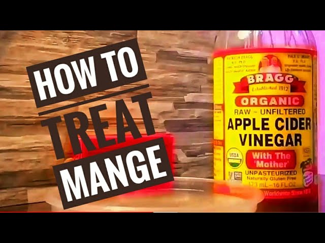 Apple Cider Vinegar for Dogs Mange