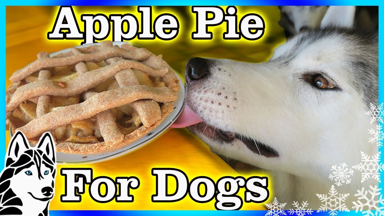 Apple Pie Recipe for Dogs