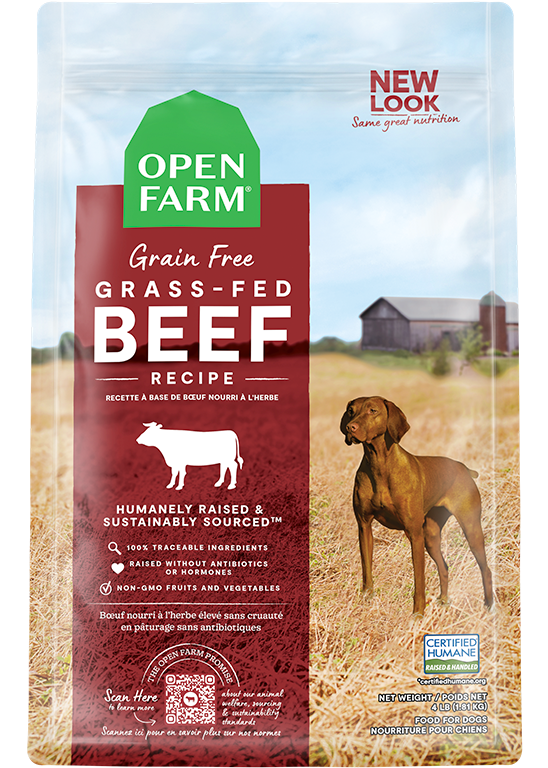 Beef Dry Dog Food