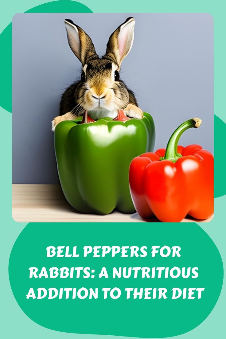 Bell Pepper Food For Rabbit