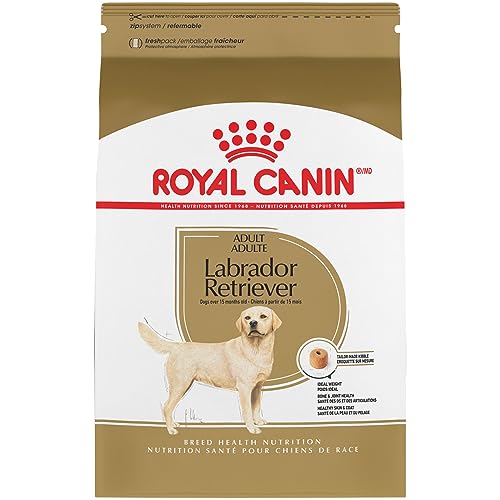 Best Dry Dog Food for Labrador Retrievers