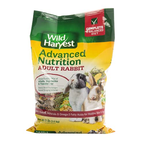 Best Food for Wild Rabbits