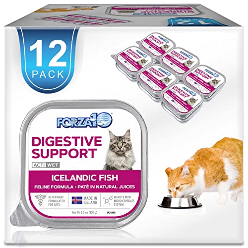 Best Wet Cat Food for Gastrointestinal Problems