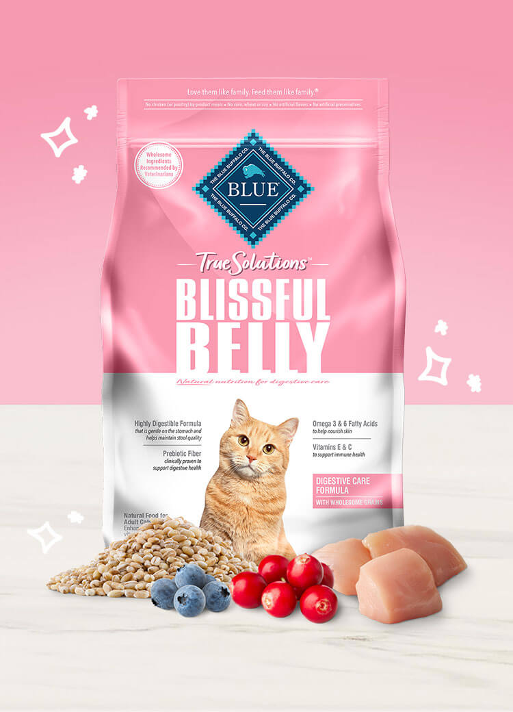 Blue Buffalo Gi Cat Food