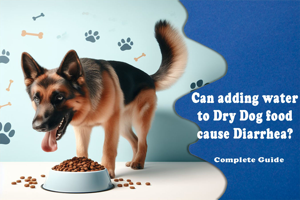 can humans eat pedigree dog food