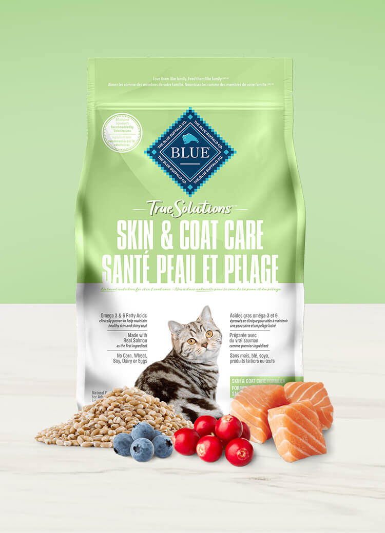 Cat Food for Dry Skin