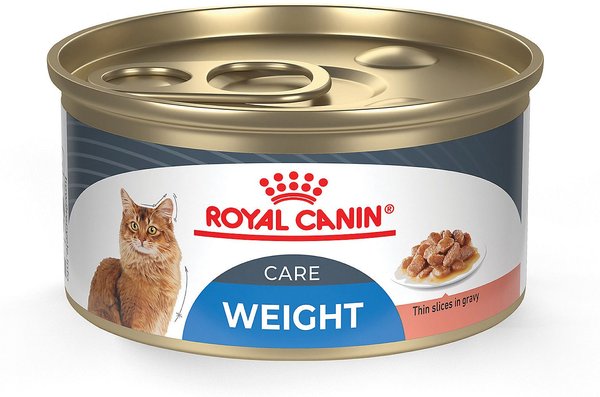 Chewy Royal Canin Cat Food