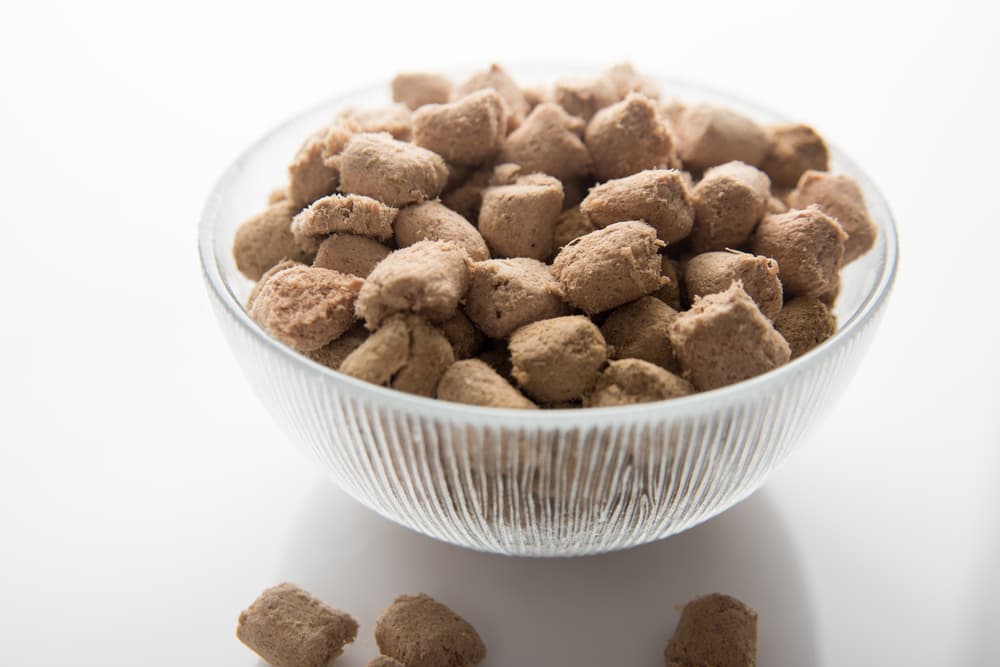 Is Freeze Dried Food Good for Dogs