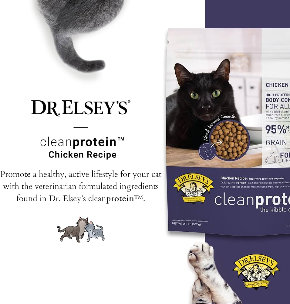 Low Carbohydrate Dry Cat Food