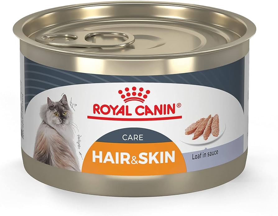 Royal Canin Aging Cat Food