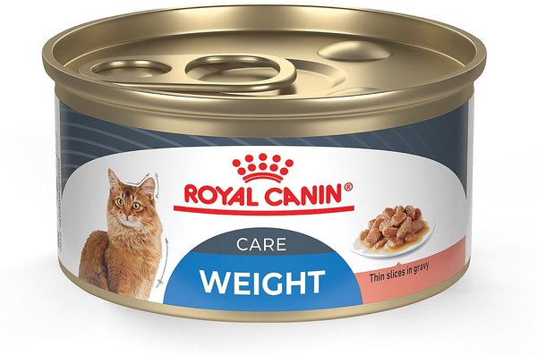 Royal Canin Bengal Cat Food