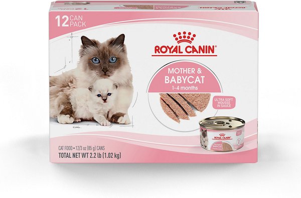 Royal Canin Mother And Baby Cat Wet Food