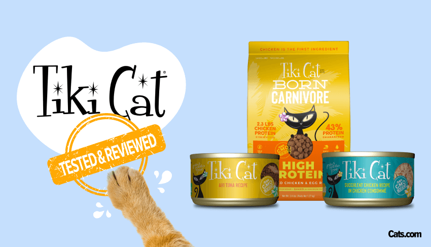 Tiki Cat Dry Food Review