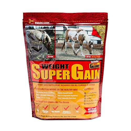 Best Cattle Feed for Weight Gain