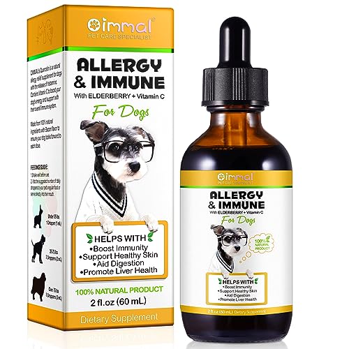 Best Food for Dogs With Allergies