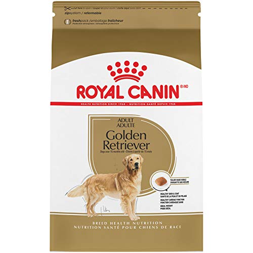 Best Food for Golden Retriever