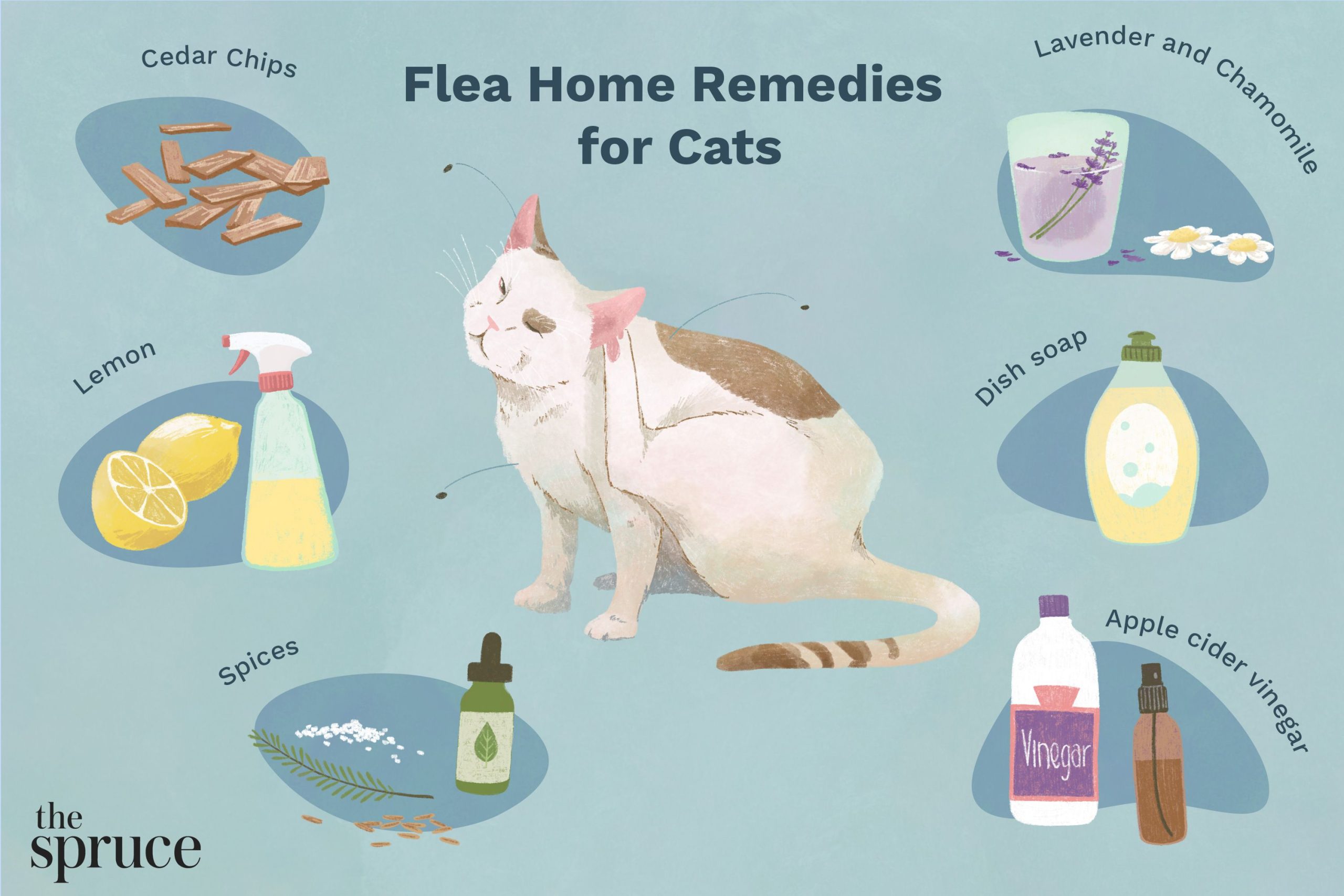 How To Get Rid Of Fleas On Your Cat