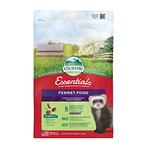 Best Ferret Food Review