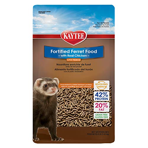 Best Ferret Food to Eat,