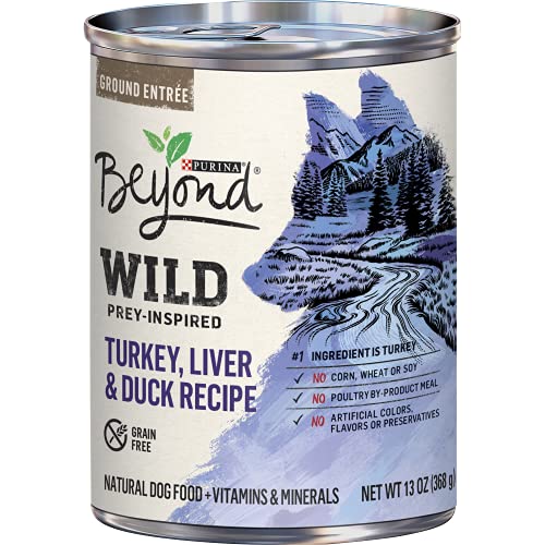 Best Wild Turkey Food,