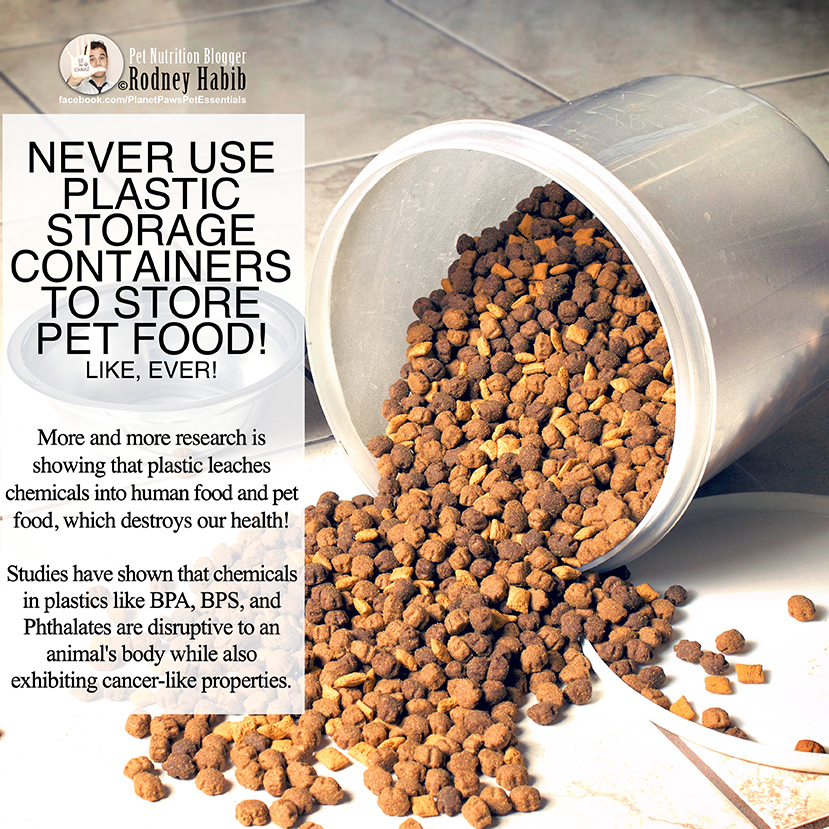 Is It Safe to Store Pet Food in Plastic Containers