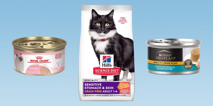 Best Cat Food for Sensitive Stomach