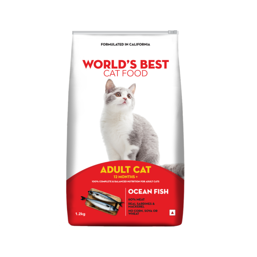 Best Cat Food in the World