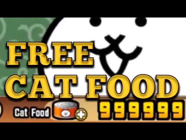 Best Way to Earn Cat Food