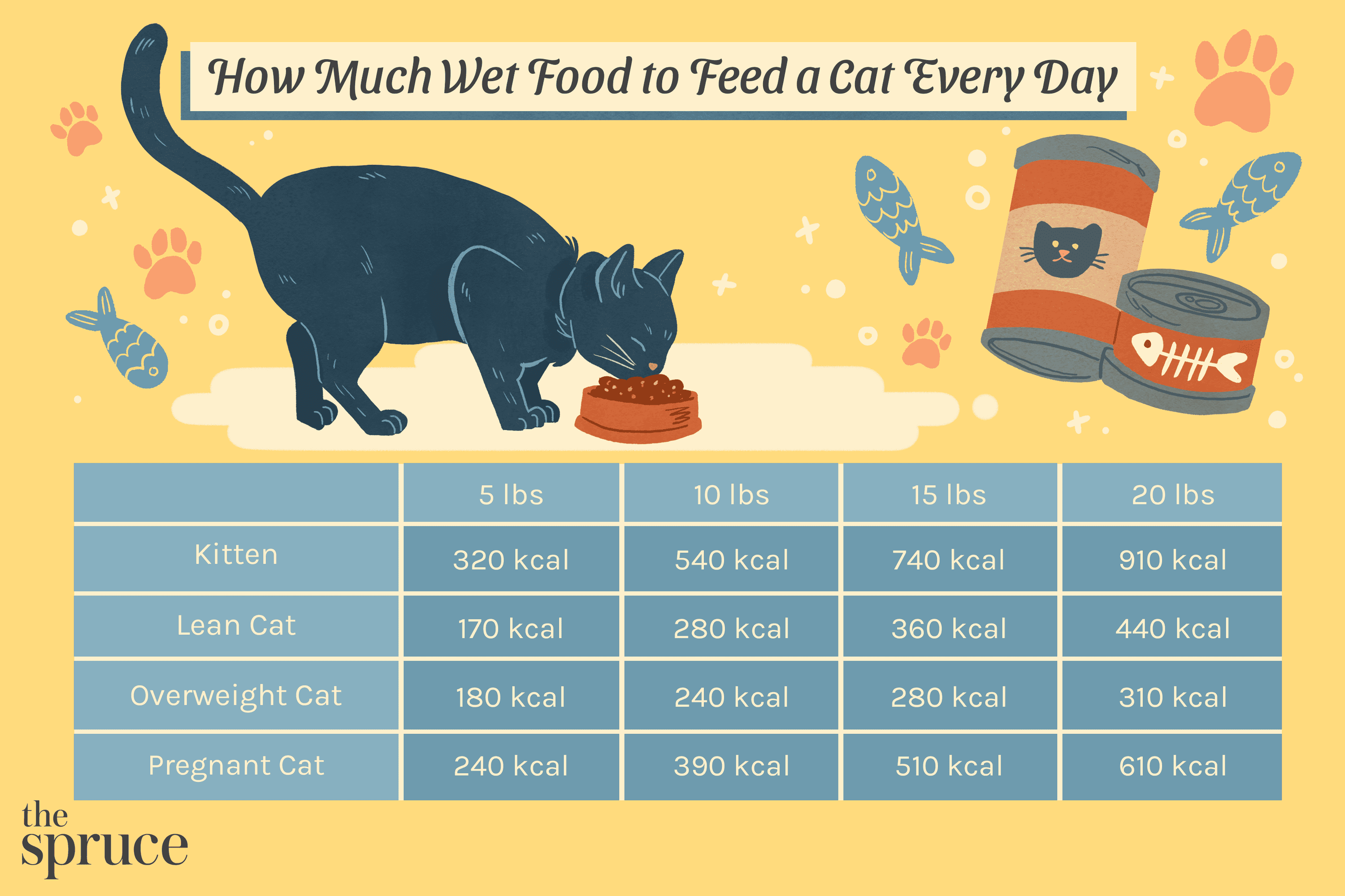 When is the Best Time to Feed My Cat Wet Food