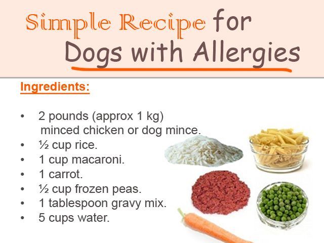 Homemade Dog Food Recipes for Allergies,