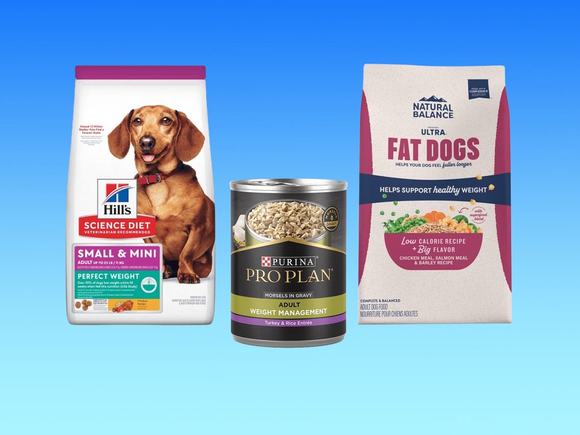 Low Fat Dog Food Brands,