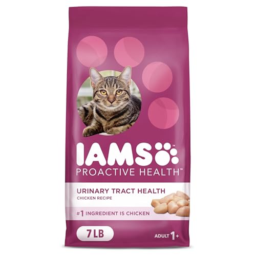 Best Non Prescription Urinary Cat Food: Top Choices for Healthy Cats