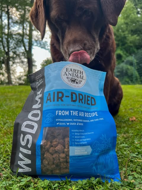 Earth Animal Dog Food: Honest Review & Buying Guide 2026