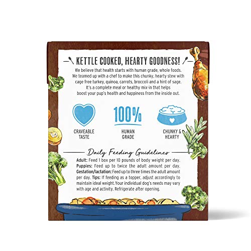 Top 10 Human Foods Dogs Can Eat: Vet-Approved List