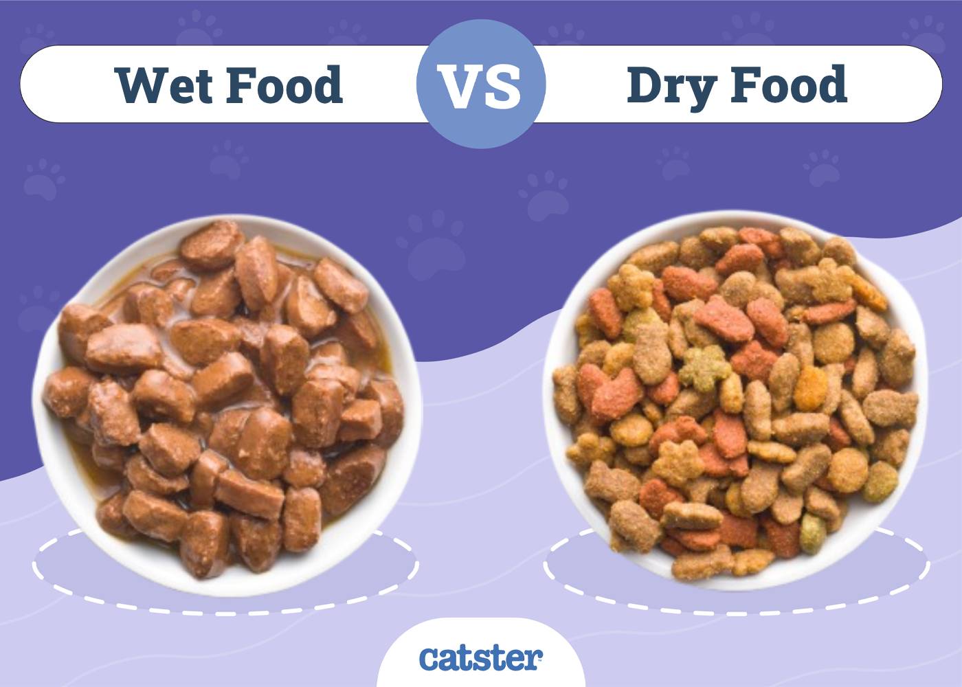 Wet Cat Food Vs Dry Cat Food: Pros, Cons, And Vet Tips 2026