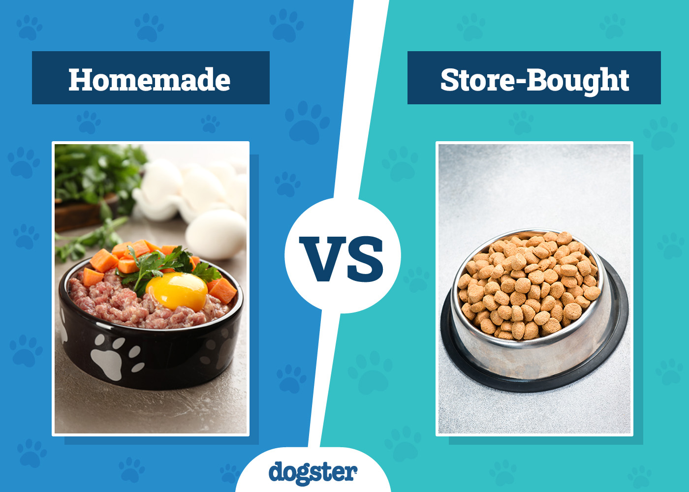 Homemade Dog Food Vs Store-Bought: Vet-Backed Guide