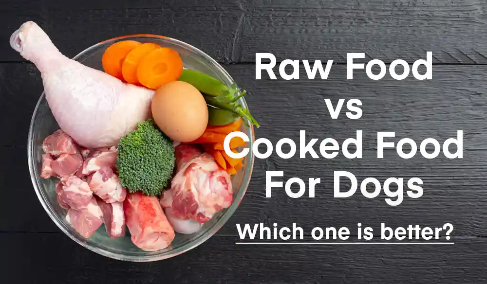 Raw Dog Food Vs Cooked Dog Food: Pros, Cons & Safety 2026