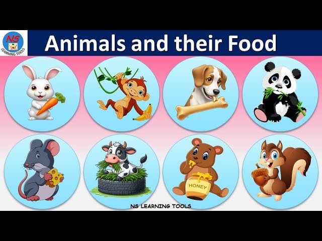 Foods That Animals Eat: Ultimate Guide To Animal Diets