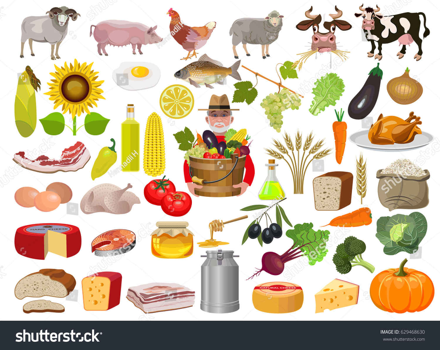 Food For Farm Animals: Best Feeding Guide For 2026