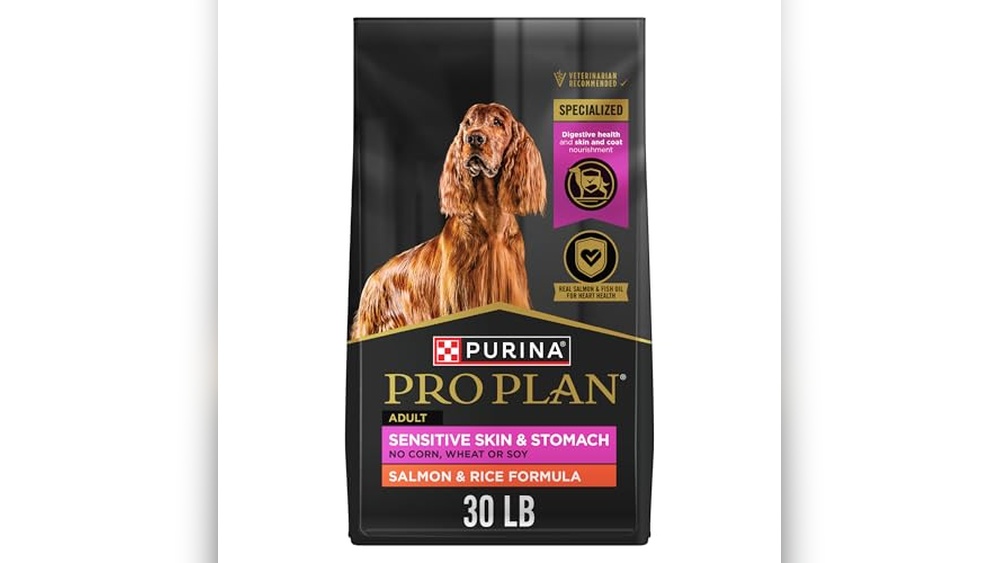 Best Dry Dog Food for Sensitive Stomachs USA 2026: Top Picks Reviewed