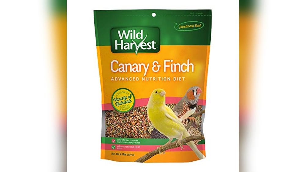 Canaries Food Review 2026 Best Choices for Healthy Bird Nutrition