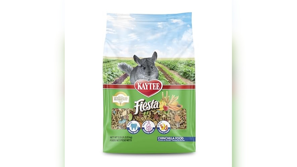 Chinchillas Food Review 2026: Best Choices for Healthy Pets