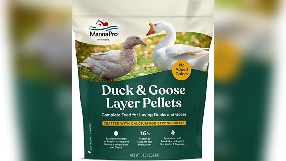 Ducks Food Review 2026: Best Choices for Healthy Feeding