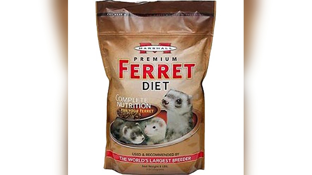 Ferrets Food Review 2026 Best Nutritious Choices for Happy Pets