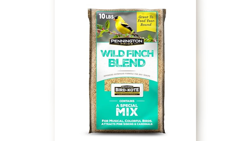 Finches Food Review 2026 Best Choices for Healthy Bird Nutrition
