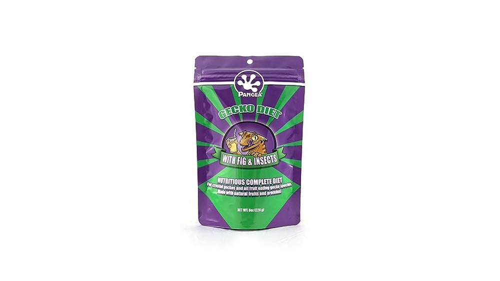 Geckos Food Review 2026 Best Nutritious Options for Healthy Pets
