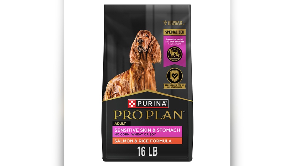 Is Grain-Free Dog Food Better for Allergies? Expert Insights Revealed