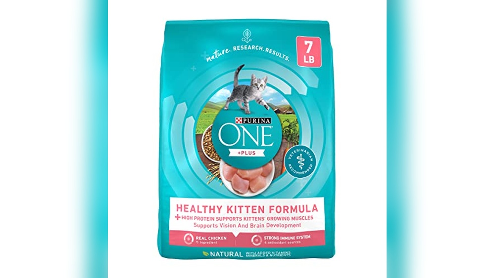 Kitten Food With Dha for Brain Development Best Picks 2026